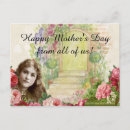 Search for cabbage rose postcards For her