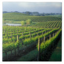 Search for grapevine tiles Vineyard