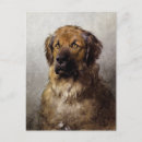 Search for dog painting postcards German