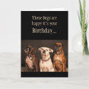 Search for boxer dog birthday cards Funny