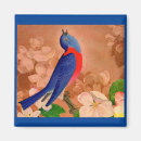 Search for bluebird magnets Encouragement