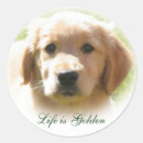 Search for therapy dog stickers Puppy