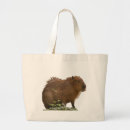 Search for capybara accessories Wildlife