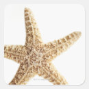 Search for dead sea stickers Starfish