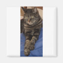 Search for vets magnets Cats