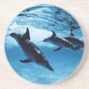 Search for marin coasters Colour image
