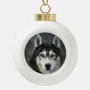 Search for husky christmas tree decorations Animal