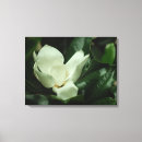 Search for white magnolia canvas prints Elegant