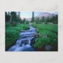 Search for forked postcards Blue