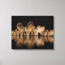 Search for kenya canvas prints Fauna