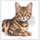 Search for brown tabby cat stickers Pet