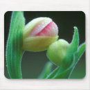 Search for nancy mouse mats Close up