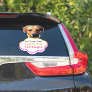 Search for window bumper stickers Dog