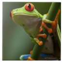 Search for tree frog tiles Nature