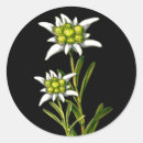 Search for swiss flower stickers Floral