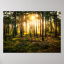 Search for sun shine posters Sunrise