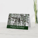 Search for covering cards Nature