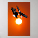 Search for eagle posters Abstract