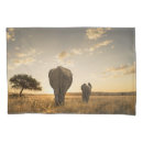 Search for baby elephant pillowcases Maasai mara national reserve