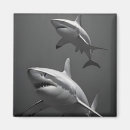 Search for wallpaper magnets Animal