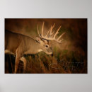 Search for buck posters Hunting