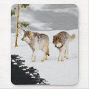 Search for wolves mouse mats Portrait