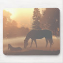Search for morning mist mouse mats Nature