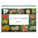 Search for daylily Colourful