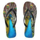 Search for peacock shoes Bird