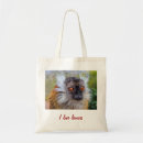Search for lemurs bags Madagascar