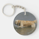 Search for ocean photographs key rings Bob and pam langrish