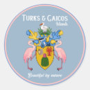 Search for turks and caicos Islands