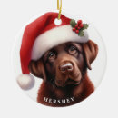 Search for chocolate lab christmas tree decorations Animal
