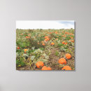 Search for pumpkin patch photography Pumpkins