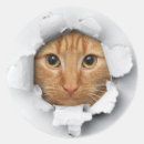 Search for peeking cat stickers Pet
