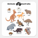 Search for wombat stickers Wildlife
