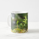 Search for blur mugs Blurred background