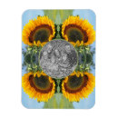 Search for sunflower magnets Nature
