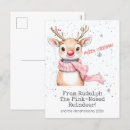 Search for pink nose postcards Cute
