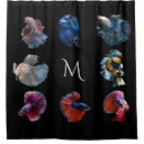 Search for fish shower curtains Cool