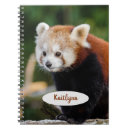 Search for red panda notebooks Animal