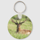 Search for stags key rings Wild animal