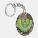 Search for boa accessories Reptiles