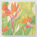Search for bird coasters Tropical