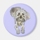 Search for poodle puppy magnets Puppies