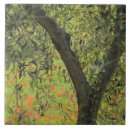 Search for olive tree tiles Italy
