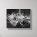 Search for white lily canvas prints Botanical