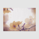 Search for taupe tissue paper Khaki
