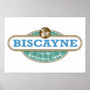 Search for biscayne Snorkelling