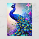 Search for tropical postcards Birds